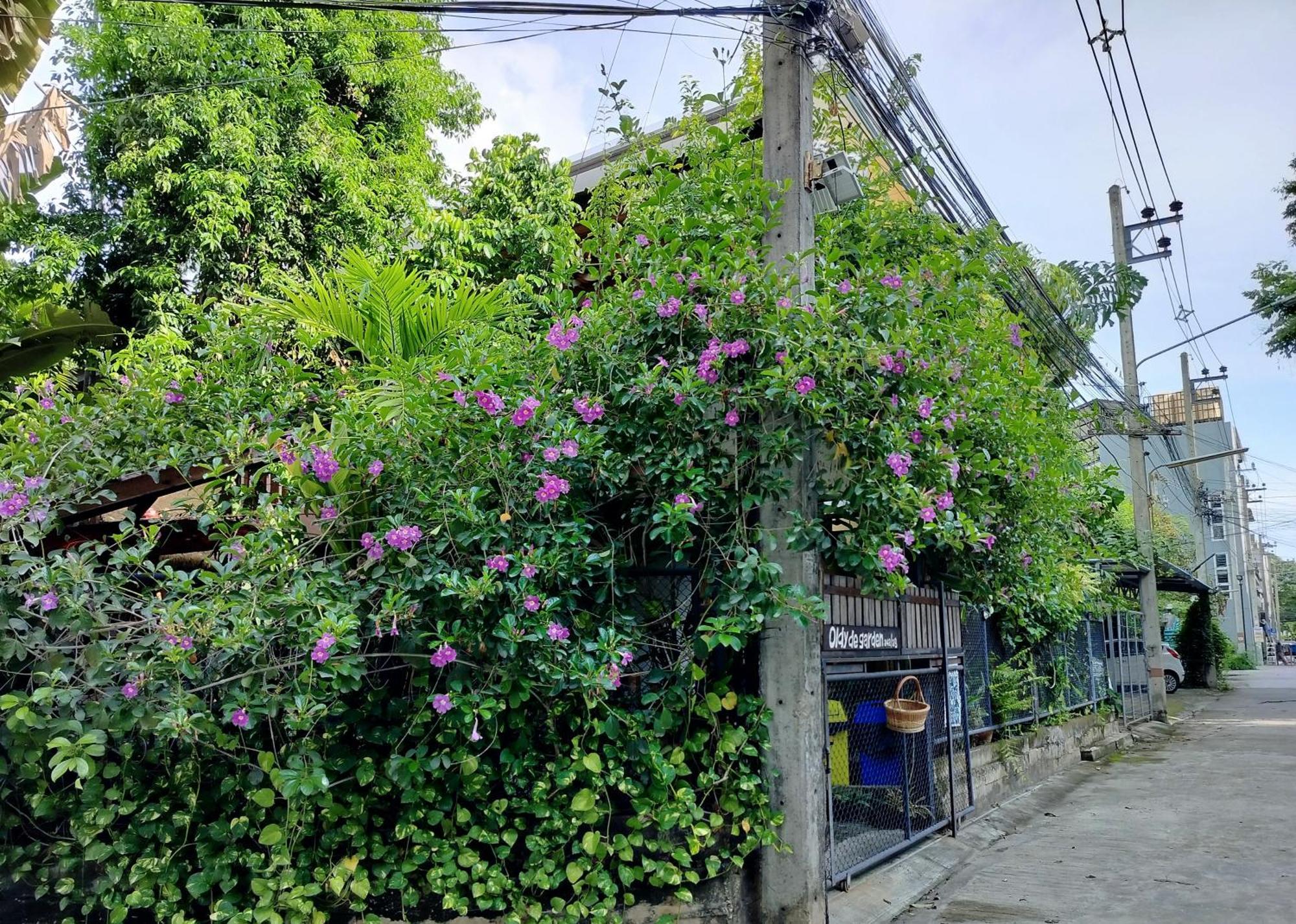 チエンマイ Oldy De Gardenアパートホテル エクステリア 写真
