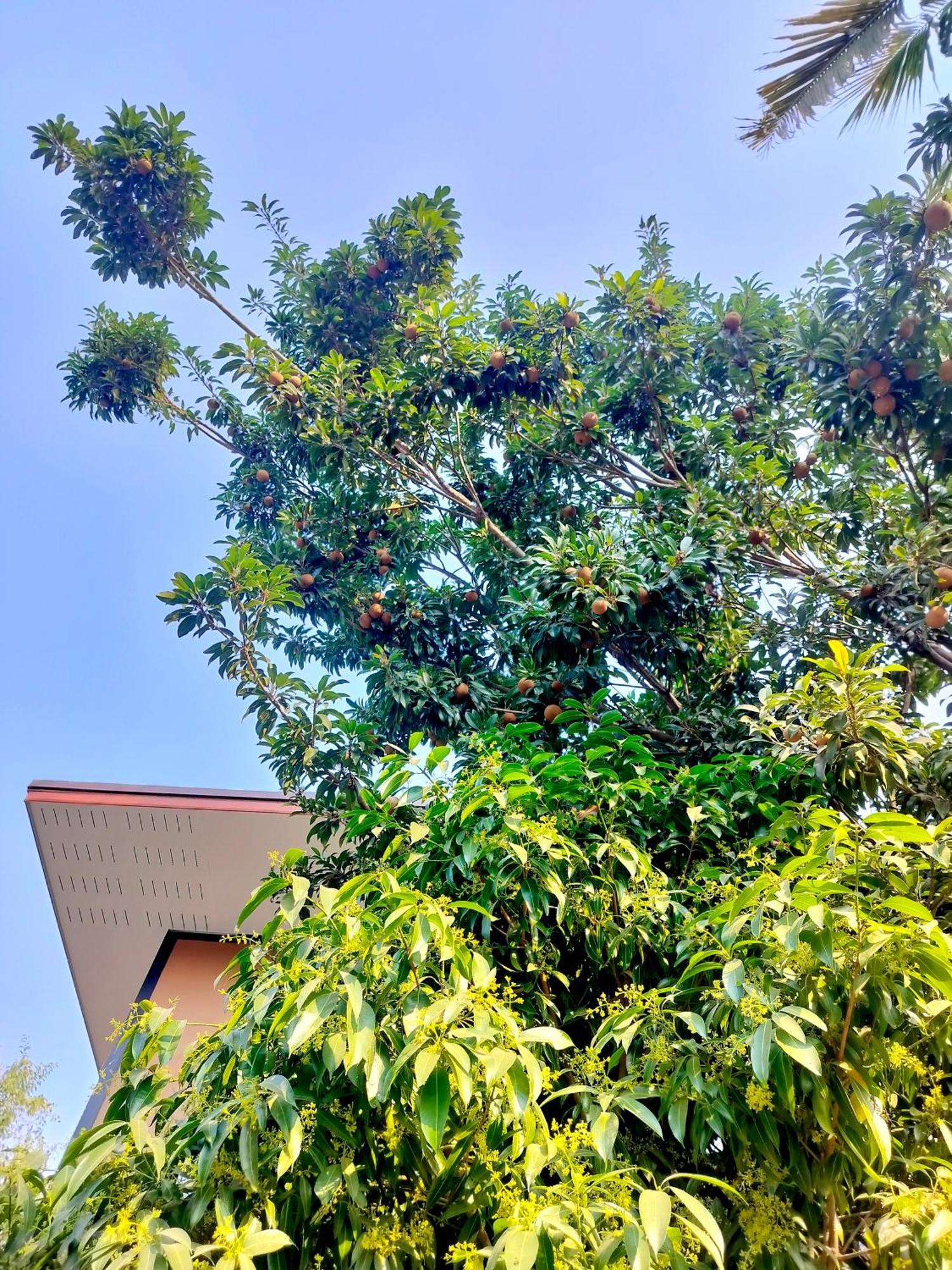チエンマイ Oldy De Gardenアパートホテル エクステリア 写真