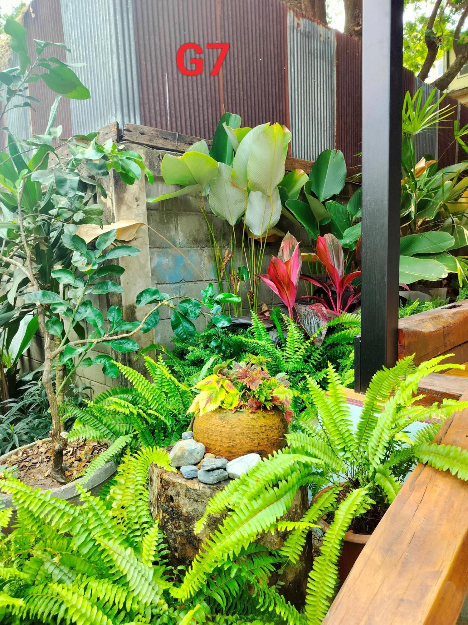 チエンマイ Oldy De Gardenアパートホテル エクステリア 写真